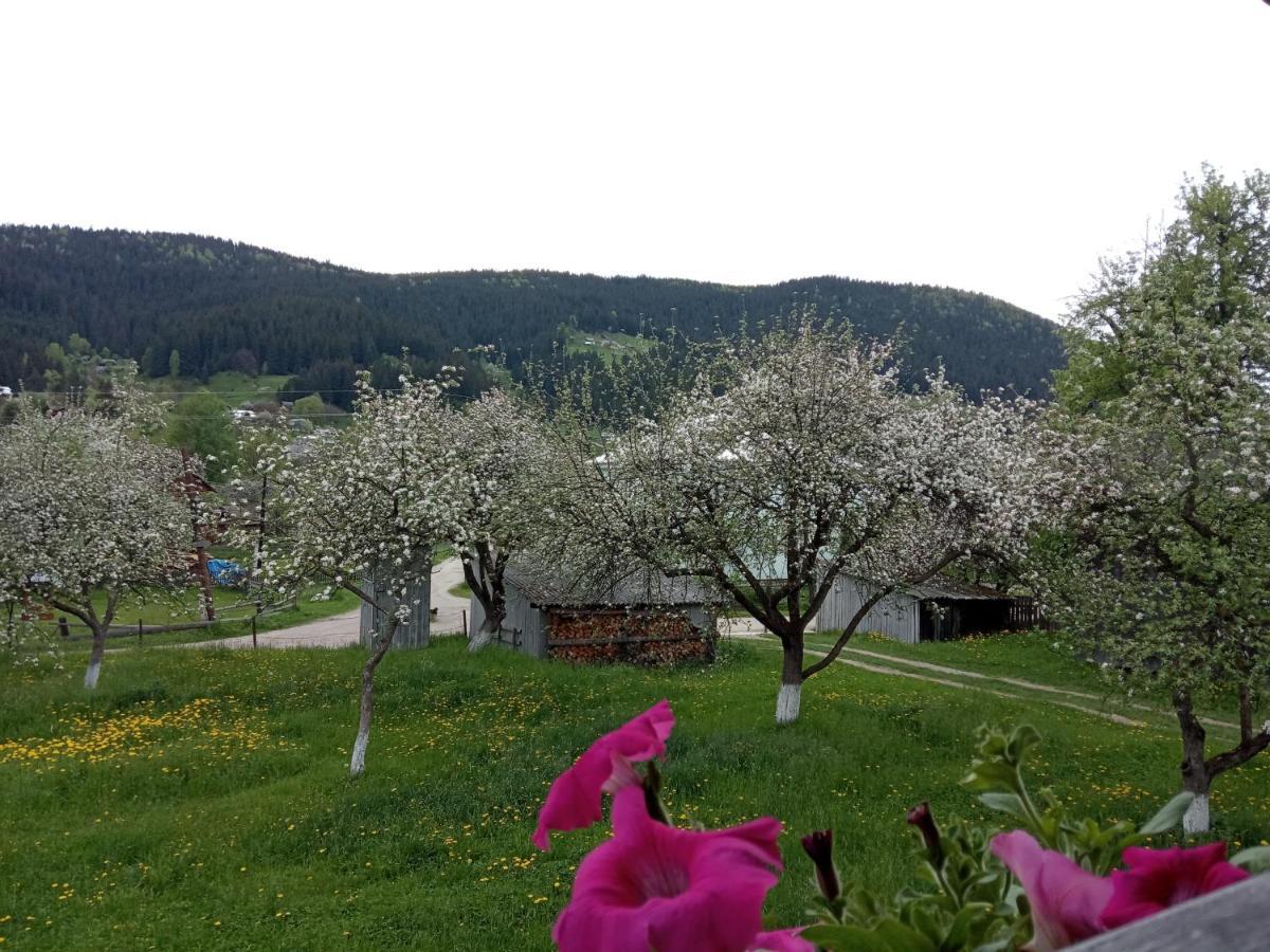 Vila Pidkova Verchovyna Exteriér fotografie