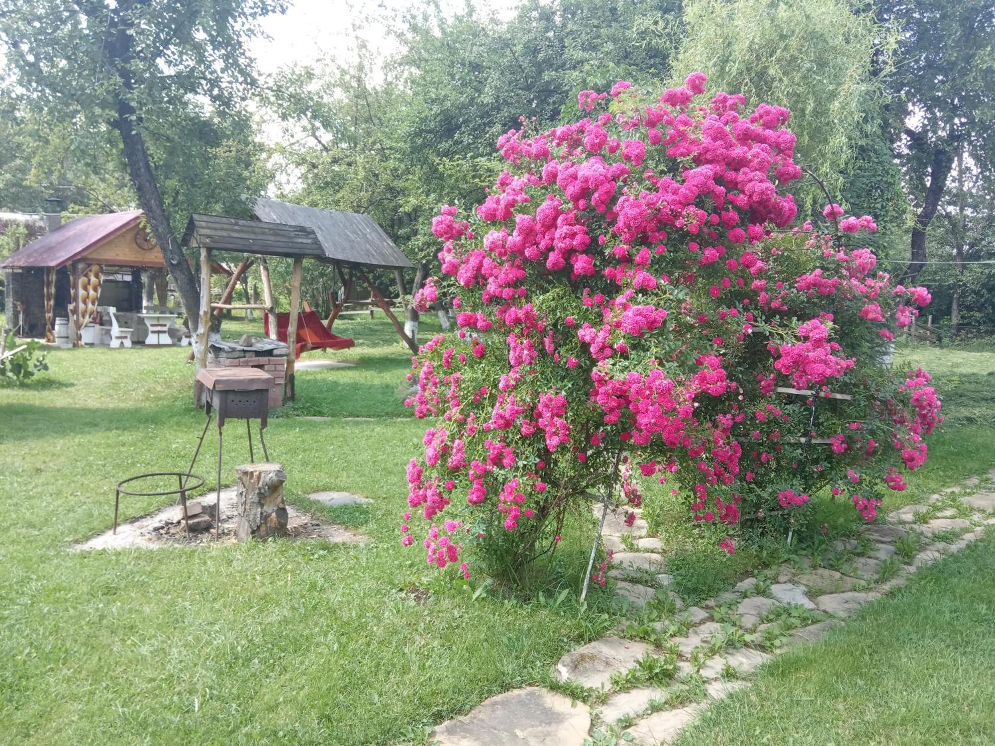 Vila Pidkova Verchovyna Pokoj fotografie