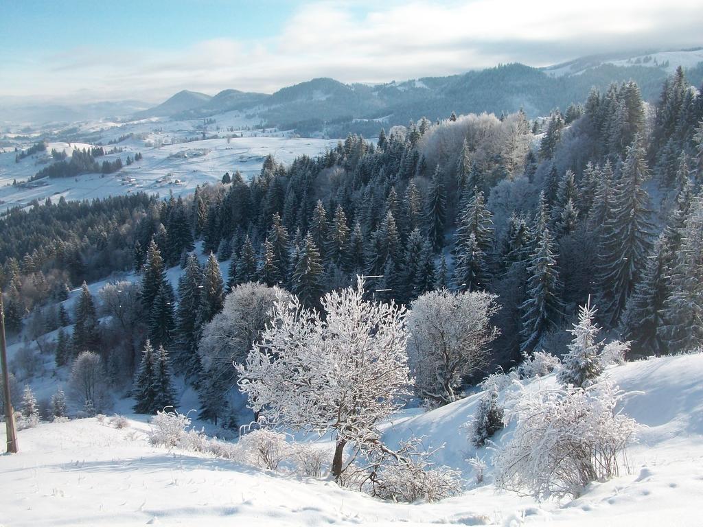 Vila Pidkova Verchovyna Exteriér fotografie