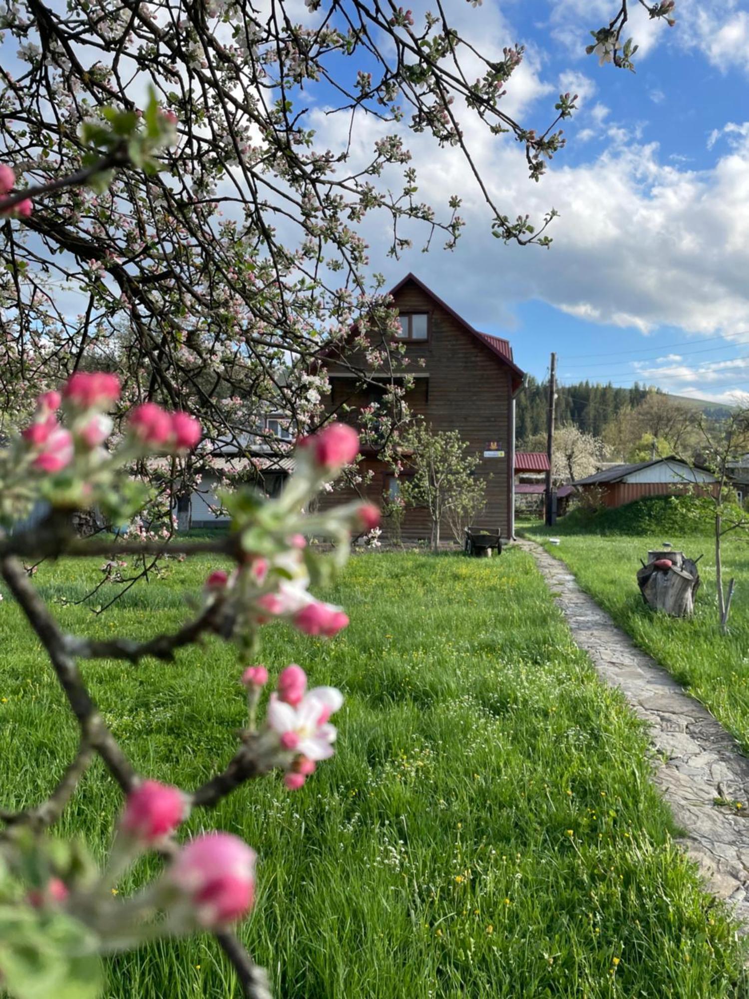 Vila Pidkova Verchovyna Exteriér fotografie