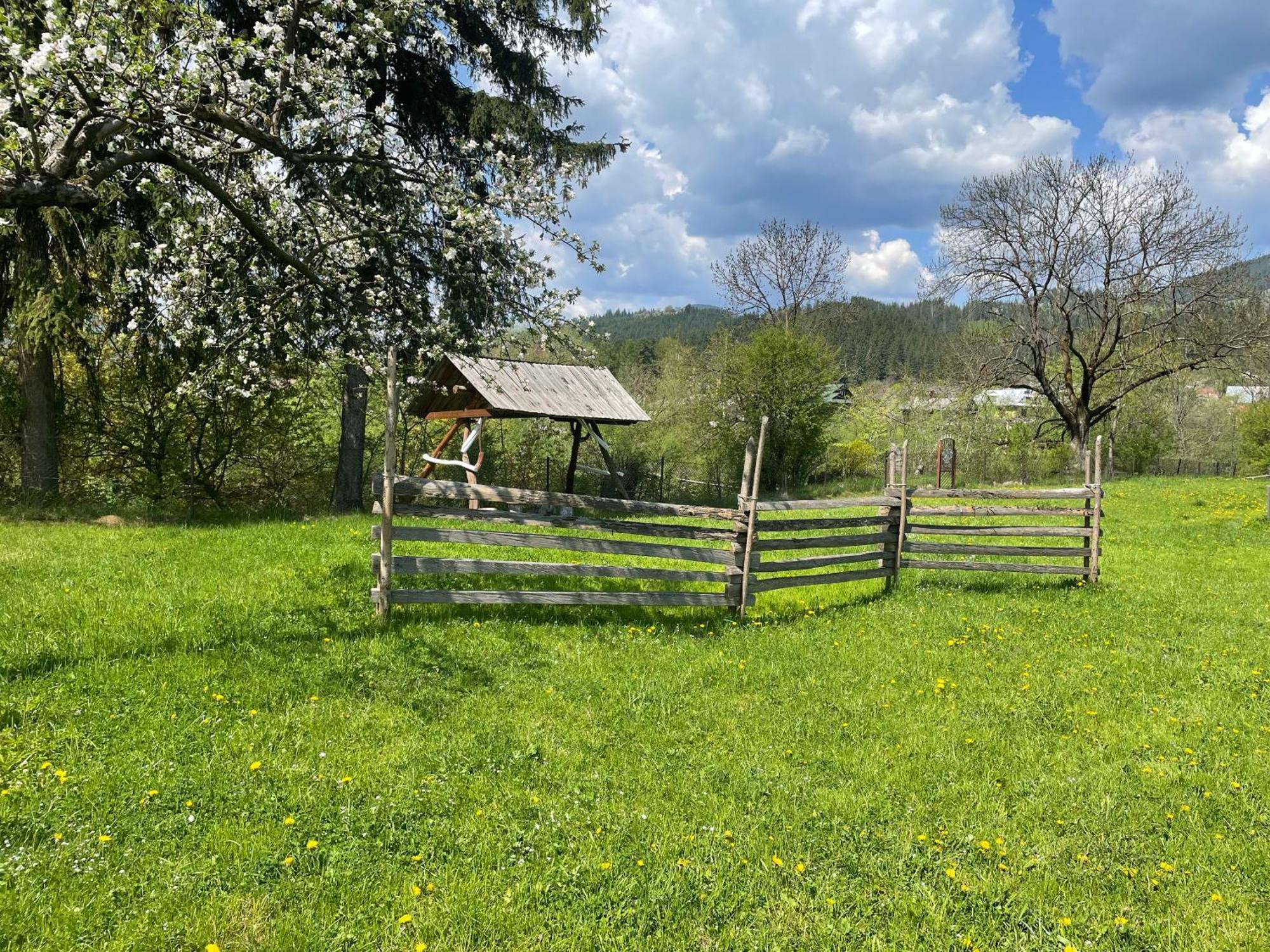 Vila Pidkova Verchovyna Exteriér fotografie